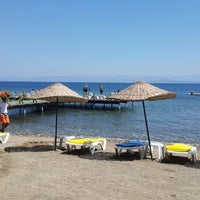 Photos At Aqua Olive Park Beach Club 75 Tips From 7414 Visitors