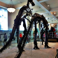 Photo taken at American Museum of Natural History by Mhmtali on 5/30/2013
