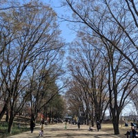 Photo taken at Tsuruma Park by P I. on 3/19/2023
