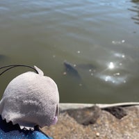 Photo taken at Ikushima Tarushima Shrine by 甲斐田ラブフォーエバー . on 2/17/2024