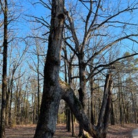 Photo taken at Craighead Forest Park by Peri . on 1/17/2022