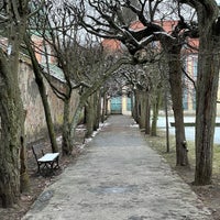 Photo taken at Park Oliwski by maciu on 2/9/2024