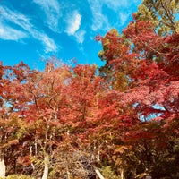 Photo taken at Suma Rikyu Park by ザック た. on 11/19/2022