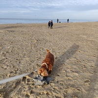 Photo taken at Strand Middelkerke by Vie D. on 1/27/2024