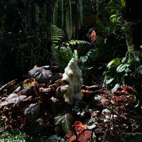 Photo taken at Cloud Forest by Sultan M. on 4/25/2024