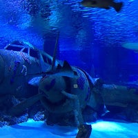 5/8/2016 tarihinde Marwan A.ziyaretçi tarafından Antalya Aquarium'de çekilen fotoğraf