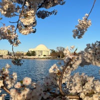 Photo taken at Tidal Basin by Nada 🕊️ on 3/25/2024