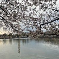Photo taken at Cherry Blossoms by Nada 🕊️ on 3/30/2024