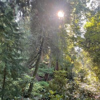Photo taken at Washington Park Arboretum by Paul D. on 10/1/2023