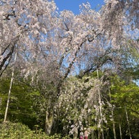 Photo taken at Ryoan-ji by Paul D. on 4/14/2024