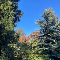 Photo taken at Washington Park Arboretum by Paul D. on 10/1/2023