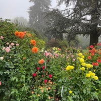 Photo taken at Volunteer Park by Paul D. on 10/5/2022