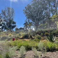 Photo taken at San Francisco Botanical Garden by Paul D. on 7/25/2023