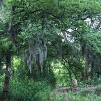 Palmetto State Park Camping Area 3 Tips From 34 Visitors