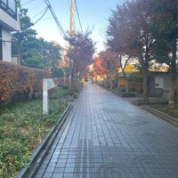 Photo taken at 用賀いらか道 by kozukichi (. on 12/12/2021