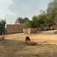 Photo taken at Riyadh Zoo by Lulu . on 2/15/2024