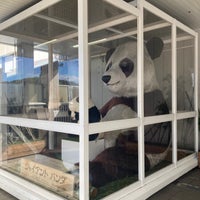 Photo taken at Giant panda by hone t. on 2/11/2024