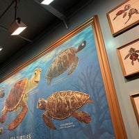 Photo taken at Turtle Talk by mana n. on 11/13/2022