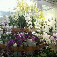 Photo taken at Armstrong Garden Centers by Frank M. on 1/27/2013