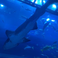 Photo taken at Dubai Aquarium by Roz🌸 on 2/19/2024