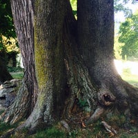 Photo taken at Larchmont, NY by Tonia R. on 8/19/2014