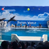 Photo taken at Dolphin Show by Nu_Kwang on 1/15/2022