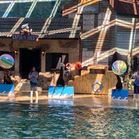 Photo taken at Sea Lion Show by Nu_Kwang on 1/15/2022