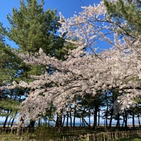 Photo taken at 合浦公園 by Nu_Kwang on 4/19/2023