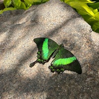 Foto tirada no(a) Butterfly Wonderland por Erin C. em 6/5/2023