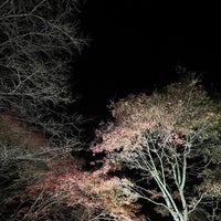 Photo taken at 大井平公園 by 月 星. on 11/11/2023