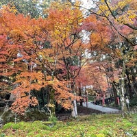 Photo taken at Korankei by 月 星. on 11/28/2023