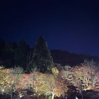 Photo taken at 大井平公園 by 月 星. on 11/11/2023