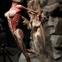 Photo taken at Body Worlds by Лена С. on 9/27/2023