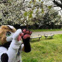 Photo taken at 花島公園 by RIKO 翠. on 4/2/2023