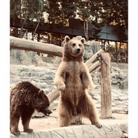 Photo taken at Tehran Zoo by Fateme M. on 6/17/2023