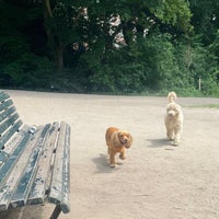 Photo taken at Dog square Sarphatipark by Yvette d. on 6/17/2022