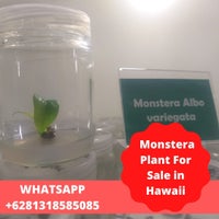 Photo taken at Hawaii Restaurant by Monstera Plant I. on 11/30/2021