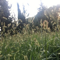 Bursa Nufus Mudurlugu Yeni Binasina Tasindi 547 Bin Lira Kira Odemekten Kurtuldu Bursada Bugun Bursa Bursa Haber Bursa Haberi Bursa Haberleri Bursa