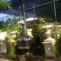 Pusat Tanaman Hias Bsd 1 Tip From 215 Visitors
