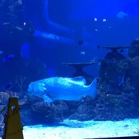 Photo taken at Jakarta Aquarium by Endro N. on 11/5/2017