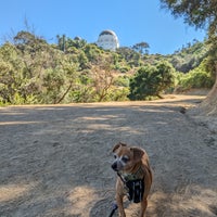 Photo taken at Griffith Park Trail by Kat C. on 7/14/2023