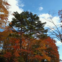 Photo taken at Kirifuri Falls by さあき on 11/5/2022