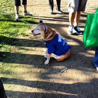 Photo taken at Race for the Rescues@ the Rose Bowl by Mandi B. on 10/6/2013