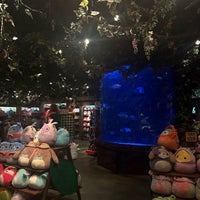 Photo taken at Rainforest Cafe by Lolo .. on 3/29/2024