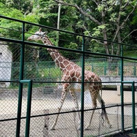 Photo taken at Fukuoka City Zoological Garden by K さ. on 5/5/2024