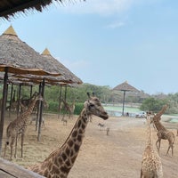 Photo taken at Safari Park by Alanood D. on 2/28/2024