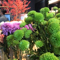 botanik garden butik melikgazi kayseri