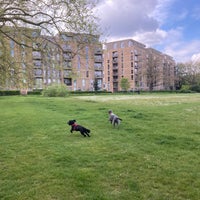 Photo taken at Ladywell Fields by Johnny H. on 4/26/2024