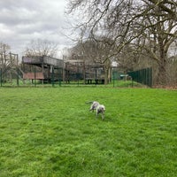 Photo taken at Ladywell Fields by Johnny H. on 3/5/2024
