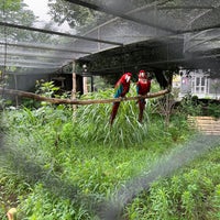 Photo taken at Tbilisi Zoo | თბილისის ზოოპარკი by Sp. L. on 6/24/2023